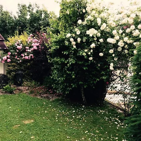 Εξοχικό σπίτι Polyanskiy Zamok Polyana (Transcarpathia)